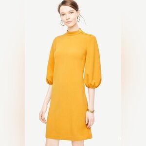 Ann Taylor Mustard Yellow Mock Neck Button Detail Shift Mod Dress 2 Petite 2P